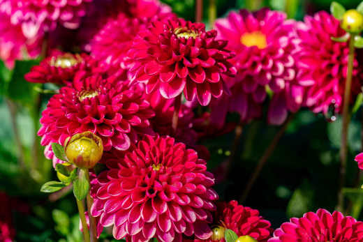 1537818 (a): :2560x1706